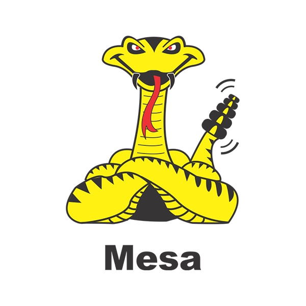 Mesa Middle School