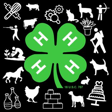 Hillbillies 4-H