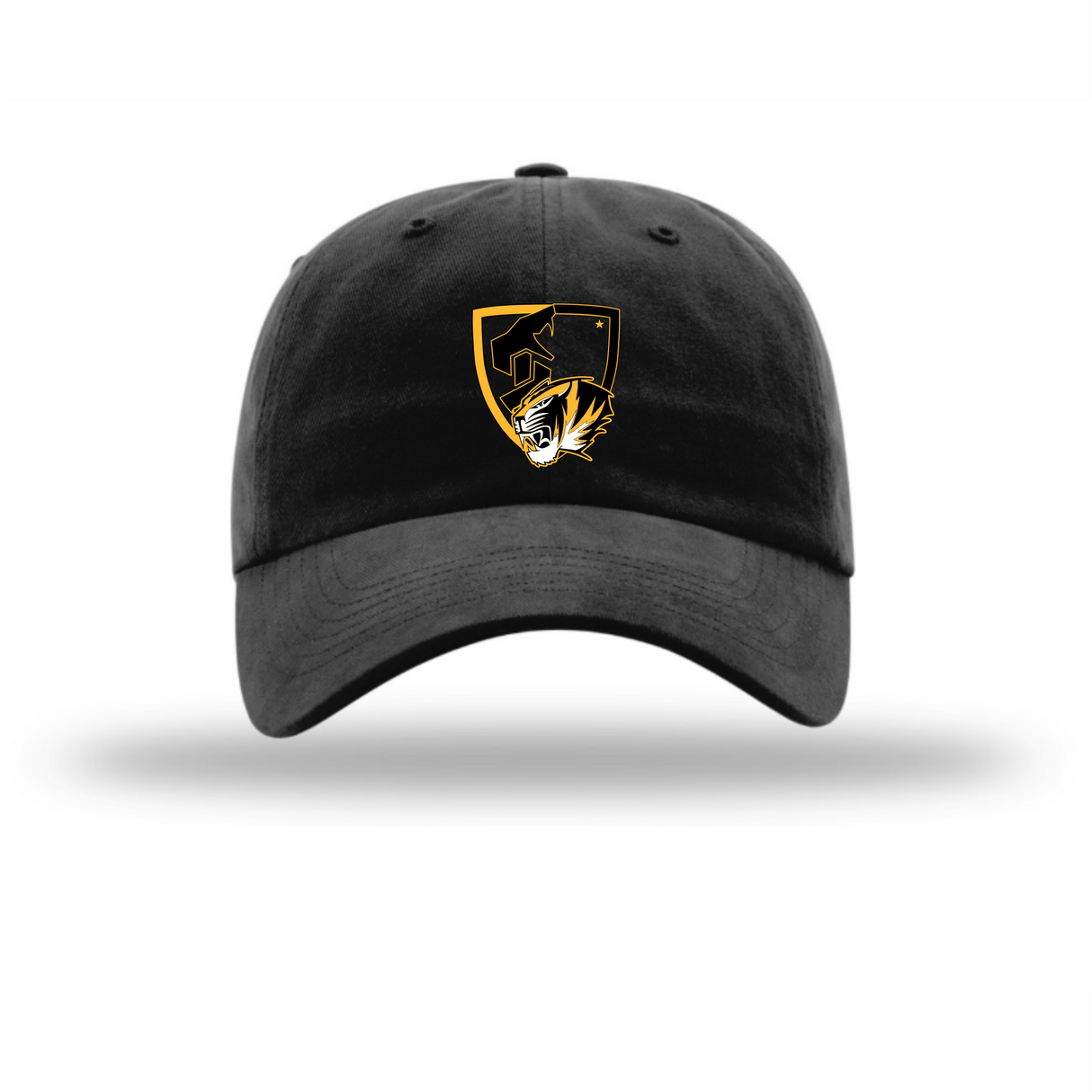 AHS Athletic Training Unstructured Cap