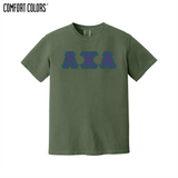 Greek Letters Heavyweight Ring Spun Tee