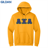 Greek Letters Pullover Hoodie