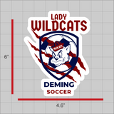 DHS Girls Soccer Decal