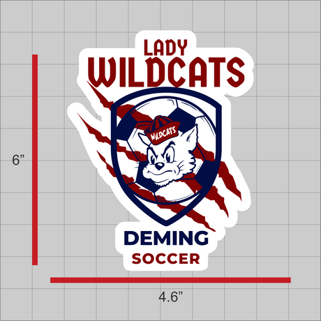 DHS Girls Soccer Decal